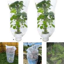 Load image into Gallery viewer, Insect Proof Mesh Bag Plant Insect Proof Bag Garden Fruit Melon Insect Proof Mesh Cover Horticultural Melon and Fruit Care Protection Net