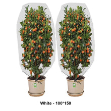 Load image into Gallery viewer, Insect Proof Mesh Bag Plant Insect Proof Bag Garden Fruit Melon Insect Proof Mesh Cover Horticultural Melon and Fruit Care Protection Net