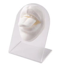 Load image into Gallery viewer, Silicone Model of Human Facial Features Mouth 3D Tongue Model Puncture Training Mold Lip Nail Tongue Nail Display Stand