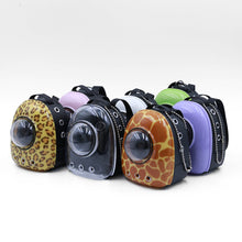 Load image into Gallery viewer, Miniature Cute Cat Backpack Simulation Mini Pet Shoulder Bag Model DIY Dollhouse Accessories Gifts for Girls Friends