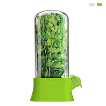 Load image into Gallery viewer, Vanilla Vegetable Fresh-keeping Box Pressure Resistant Environmentally Friendly Fresh-keeping Device Creative Coriander Fresh-keeping Cup Kitchen Supplies