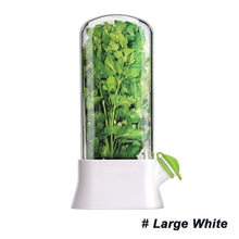 Load image into Gallery viewer, Vanilla Vegetable Fresh-keeping Box Pressure Resistant Environmentally Friendly Fresh-keeping Device Creative Coriander Fresh-keeping Cup Kitchen Supplies