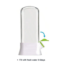 Load image into Gallery viewer, Vanilla Vegetable Fresh-keeping Box Pressure Resistant Environmentally Friendly Fresh-keeping Device Creative Coriander Fresh-keeping Cup Kitchen Supplies
