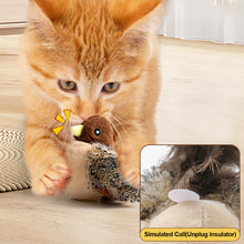 Load image into Gallery viewer, Interactive Cat Toys Flying Bird Cat Toy Flapping Wings Sparrow Toys Vivid Chirping Simulation Bird Interactive Cat Toy