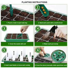 Load image into Gallery viewer, 6/12 Holes Seedlings Trays Seed Starter Tray Adjustable Ventilation Humidity Seedlings Germination Tray For Seeds Growing Starting
