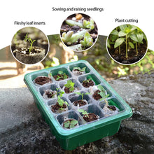 Load image into Gallery viewer, 6/12 Holes Seedlings Trays Seed Starter Tray Adjustable Ventilation Humidity Seedlings Germination Tray For Seeds Growing Starting