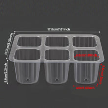 Load image into Gallery viewer, 6/12 Holes Seedlings Trays Seed Starter Tray Adjustable Ventilation Humidity Seedlings Germination Tray For Seeds Growing Starting