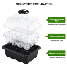 Load image into Gallery viewer, 6/12 Holes Seedlings Trays Seed Starter Tray Adjustable Ventilation Humidity Seedlings Germination Tray For Seeds Growing Starting