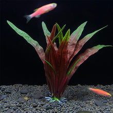 Load image into Gallery viewer, Simulation Artificial Plants Aquarium Decor Grass Water Weeds Ornament Plant Fish Tank Aquarium Grass Decoration Accessories