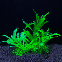 Load image into Gallery viewer, Simulation Artificial Plants Aquarium Decor Grass Water Weeds Ornament Plant Fish Tank Aquarium Grass Decoration Accessories