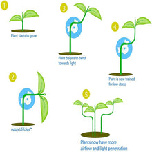 Load image into Gallery viewer, 10pcs 360 Degree Adjustable Planter Holder Plant Branches Bender Training Clips Garden Stem Trainer Clips for Low Stress Training Tool