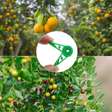 Load image into Gallery viewer, 10pcs 360 Degree Adjustable Planter Holder Plant Branches Bender Training Clips Garden Stem Trainer Clips for Low Stress Training Tool