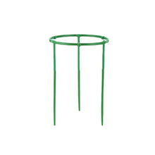 Load image into Gallery viewer, Plant Support Pile Half Round Climbing Vines Stake Bonsai Fixing Rod Garden Plant Stake Holder Flower Ring Support Rack