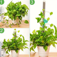 Load image into Gallery viewer, Moss Poles Plants Plant Support Plastic Transparent Reusable Indoor Potted Sticks Train Creeper Plant to Grow Upward For Garden