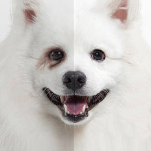 Load image into Gallery viewer, Pet Lacrimal Gland Cleaning Cream Soothing Skin Isolating Tears Preventing Pigmentation Cat Dog Universal Tear Stain Balm