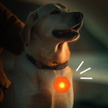 Load image into Gallery viewer, Multifunctional Rechargeable Hexagonal Silicone Luminous Pendant Portable Pet Night Walking Anti-loss Luminous Ornament