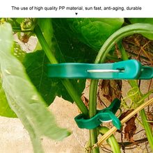 Load image into Gallery viewer, 20pcs/set Horticultural Butterfly Orchid Garden Set Tomato Plant Clip Plastic Clip Horticultural Tools