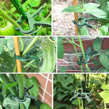 Load image into Gallery viewer, 20pcs/set Horticultural Butterfly Orchid Garden Set Tomato Plant Clip Plastic Clip Horticultural Tools