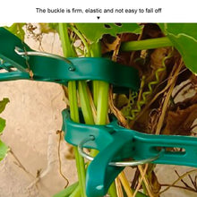 Load image into Gallery viewer, 20pcs/set Horticultural Butterfly Orchid Garden Set Tomato Plant Clip Plastic Clip Horticultural Tools
