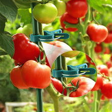 Load image into Gallery viewer, 20pcs/set Horticultural Butterfly Orchid Garden Set Tomato Plant Clip Plastic Clip Horticultural Tools