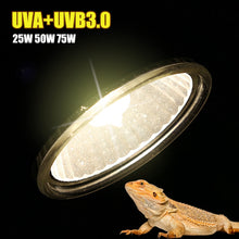 Load image into Gallery viewer, 25W 50W 75W UVA+UVB Pet Reptile Heating Lamp Heat Light Bulb Turtle Lizard Heater Bulb Full Spectrum Sunlamp for Amphibian