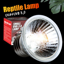Load image into Gallery viewer, 25W 50W 75W UVA+UVB Pet Reptile Heating Lamp Heat Light Bulb Turtle Lizard Heater Bulb Full Spectrum Sunlamp for Amphibian