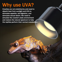 Load image into Gallery viewer, 25W-100W UVA Pet Reptile Heating Lamp Heat Light Bulb Turtle Lizard Heater Bulb Full Spectrum Sunlamp for Amphibian
