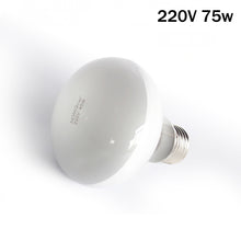 Load image into Gallery viewer, 25W-100W UVA Pet Reptile Heating Lamp Heat Light Bulb Turtle Lizard Heater Bulb Full Spectrum Sunlamp for Amphibian