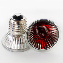 Load image into Gallery viewer, 25W-100W UVA+UVB Pet Reptile Heating Lamp Heat Light Bulb Turtle Lizard Heater Bulb Full Spectrum Sunlamp for Amphibian