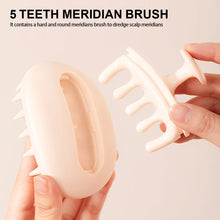 Load image into Gallery viewer, 2-in-1 Silicone Shampoo Brush Wet Dry Dual-use Massage Clean Scalp Relieve Itching Shampoo Hair Detachable Head Meridian Comb