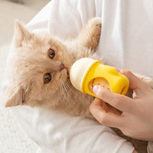 Load image into Gallery viewer, 20/80ml Small Pet Feeding Bottle Puppy Kitten Feeding Baby Nursing Feeder Feeder Bottle Milk Dog Bottle Water Drink