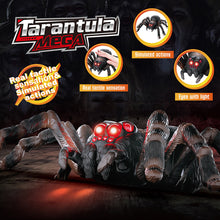 Load image into Gallery viewer, Realistic Tactile Luminous Eyes Spider Prop Automatic Eletronic Spider Toys Cat Teasering Play Install Battery Halloween Tricky Toy Haunted House Layout