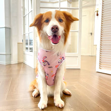 Load image into Gallery viewer, 4-17.5kg Golden Retriever French Bulldog Clothes Summer Breathable Soft Pet Clothes For Medium and Large Dogs L-3XL