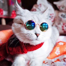 Load image into Gallery viewer, 1PC Cool Pet Cat Glasses Dog Glasses For Little Dog Cat Sunglasses Reflection Photos Props For Photography Pet Cat Accessories