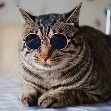 Load image into Gallery viewer, 1PC Cool Pet Cat Glasses Dog Glasses For Little Dog Cat Sunglasses Reflection Photos Props For Photography Pet Cat Accessories