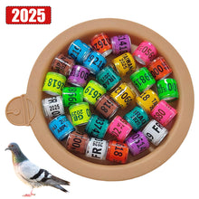 Load image into Gallery viewer, 10/50Pcs 2025 Years Pigeons Foot Ring 8x11mm Pigeons Foot Ring Parrots Leg Rings Birds Training Tool with Nnumbers