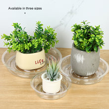 Load image into Gallery viewer, Transparent Thickened PET Circular Flowerpot Tray Water Tray Flower Tray Cushion Base
