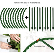 Load image into Gallery viewer, 4/6/8pcs/set Plant Support Pile Climbing Vine Flower Rack Plant Support Pile Garden Bonsai Tools Garden Bracket