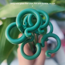 Load image into Gallery viewer, 10pcs/set Climbing Vine Frame Balcony Flower Frame Support Frame Potted Plant Flower Shaped Support Pole Fixed Anti Lodging Protective Frame