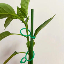 Load image into Gallery viewer, 50pcs/set Horticultural Eight Character Buckle Garden Vegetable Garden Green Plants Fruits Vegetables Fixed Clip Grape Seedlings Vine Ties Eight Character Buckle Bracket