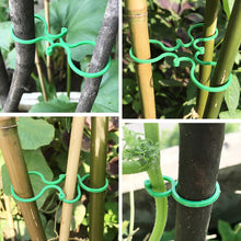 Load image into Gallery viewer, 50pcs/set Horticultural Eight Character Buckle Garden Vegetable Garden Green Plants Fruits Vegetables Fixed Clip Grape Seedlings Vine Ties Eight Character Buckle Bracket