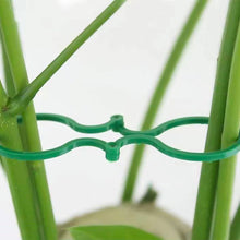 Load image into Gallery viewer, 50pcs/set Horticultural Eight Character Buckle Garden Vegetable Garden Green Plants Fruits Vegetables Fixed Clip Grape Seedlings Vine Ties Eight Character Buckle Bracket