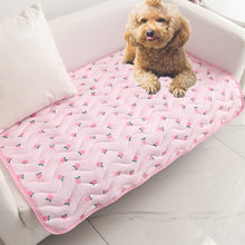 Load image into Gallery viewer, Summer Breathable Dog Mat Cooling Summer Pad For Dogs Cat Sofa Mat Breathable Pet Pad For Small Medium Large Dogs