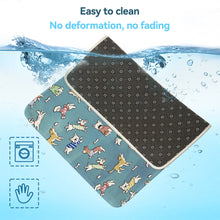 Load image into Gallery viewer, Summer Breathable Dog Mat Cooling Summer Pad For Dogs Cat Sofa Mat Breathable Pet Pad For Small Medium Large Dogs