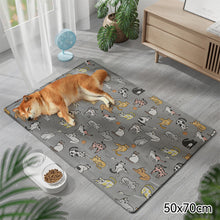 Load image into Gallery viewer, Summer Breathable Dog Mat Cooling Summer Pad For Dogs Cat Sofa Mat Breathable Pet Pad For Small Medium Large Dogs