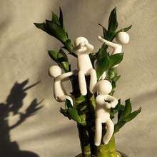 Load image into Gallery viewer, Cute Plant Support Small People Plant Cultivation Indoor Ornament Plant Propagation Buddy Plant Ornaments