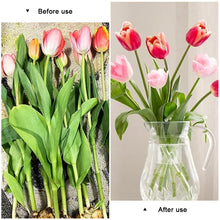Load image into Gallery viewer, Spiral Ikebana Stem Holder Spiral Stem Holder DIY Household Honeycomb Flower Planter Flower Arrangement Auxiliary Tool
