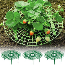 Load image into Gallery viewer, Strawberry Planting Tray Bracket Gardening Potted Fruit Home Green Plant Splicing Anti Rot Leaf Fruit Rack Support Bracket