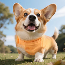 Load image into Gallery viewer, M-XL Solid Color Dog T-Shirt Summer Cotton Dog Vest Breathable Soft Shirt for Dachshund Dog