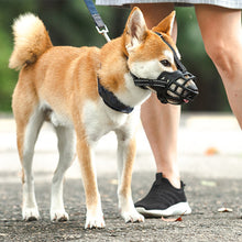 Load image into Gallery viewer, Anti Barking Dog Muzzle For Small Large Dogs Adjustable Mesh Breathable Pet Mouth Muzzles Nylon Straps Dog Accessories